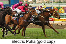 Electric Puha (16727 bytes)