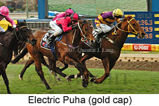 Electric Puha (16727 bytes)