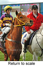 Return to scale (15472 bytes)