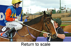 Return to scale (15472 bytes)