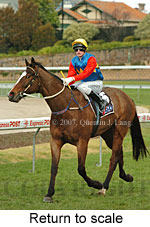 Return to scale (15472 bytes)