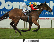 Rubiscent (16727 bytes)