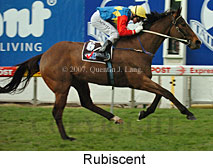 Rubiscent (16727 bytes)