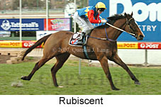 Rubiscent (16727 bytes)