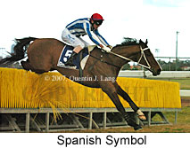 Spanish Symbol (17783 bytes)