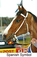 Spanish Symbol (16727 bytes)