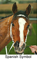 Spanish Symbol (16727 bytes)