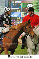 Return to scale (15472 bytes)