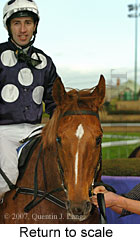 Return to scale (15472 bytes)