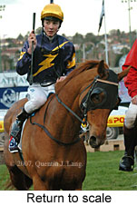 Return to scale (15472 bytes)