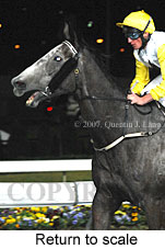 Return to scale (14699 bytes)