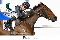 Potomac (17134 bytes)