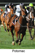 Potomac (17134 bytes)