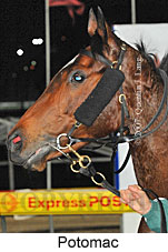 Potomac (17134 bytes)