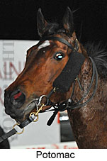 Potomac (17134 bytes)