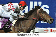 Redwood Park (17134 bytes)