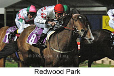 Redwood Park (17134 bytes)