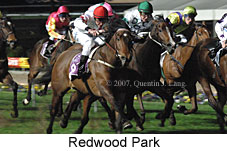 Redwood Park (17134 bytes)