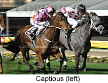 Captious (17134 bytes)