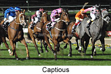 Captious (17134 bytes)