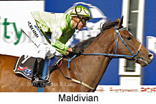 Maldivian (17134 bytes)