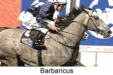 Barbaricus (17134 bytes)