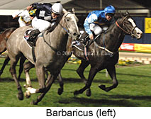 Barbaricus (17134 bytes)