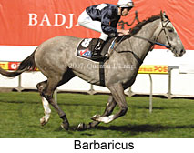 Barbaricus (17134 bytes)