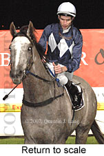 Return to scale (14699 bytes)