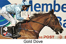 Gold Dove (17134 bytes)