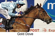 Gold Dove (17134 bytes)