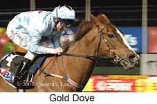 Gold Dove (17134 bytes)