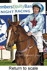 Return to scale (14699 bytes)