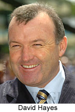 David Hayes (18294 bytes)