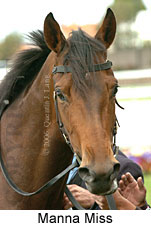 Manna Miss (18294 bytes)
