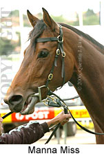 Manna Miss (18294 bytes)