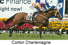 Corton Charlemagne (18294 bytes)