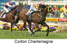 Corton Charlemagne (18294 bytes)