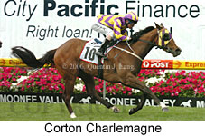 Corton Charlemagne (18294 bytes)