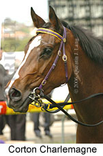 Corton Charlemagne (18294 bytes)