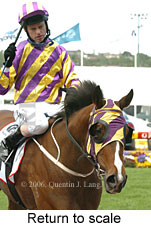 return to scale (18294 bytes)