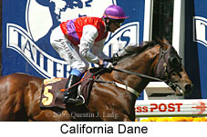 California Dane (18294 bytes)