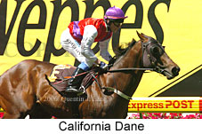 California Dane (18294 bytes)