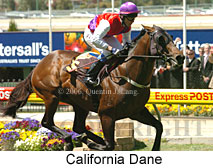 California Dane (18294 bytes)