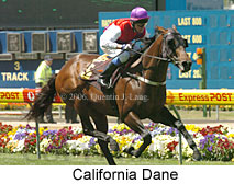 California Dane (18294 bytes)