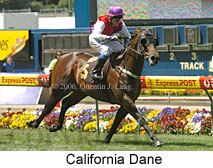 California Dane (18294 bytes)