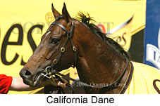 California Dane (18294 bytes)