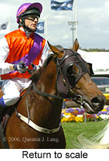 return to scale (18294 bytes)