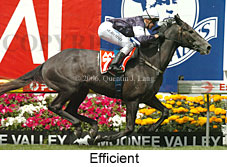 Efficient (18294 bytes)