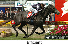 Efficient (18294 bytes)